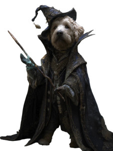 Wizard Labradoodle Vinyl Car Decal Sticker – Waterproof & UV-Resistant 