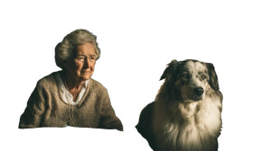 Lifelong Pet Companionship Vinyl Car Decal Sticker – Waterproof & UV-Resistant 