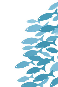 Ocean Fish Silhouettes Vinyl Car Decal Sticker – Waterproof & UV-Resistant 