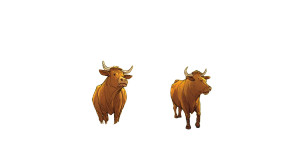 Curious Cow Adventure Vinyl Car Decal Sticker – Waterproof & UV-Resistant Curious Cow Adventure Vinyl Car Decal Sticker – Waterproof & UV-Resistant