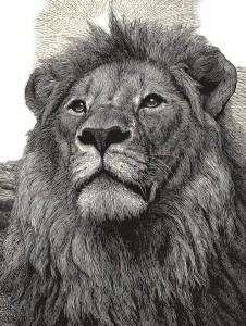 Majestic Lion Engraving Vinyl Car Decal Sticker – Waterproof & UV-Resistant 