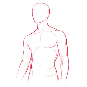 Human Torso Outline Vinyl Car Decal Sticker – Waterproof & UV-Resistant Human Torso Outline Vinyl Car Decal Sticker – Waterproof & UV-Resistant