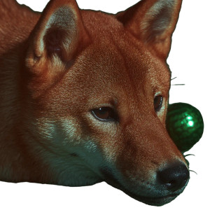 Cute Shiba Inu V14 Vinyl Car Decal Sticker – Waterproof & UV-Resistant 