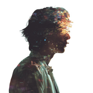 Digital Duality Vinyl Car Decal Sticker – Waterproof & UV-Resistant 