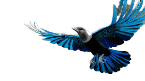 Bright Flying Bird Vinyl Car Decal Sticker – Waterproof & UV-Resistant 