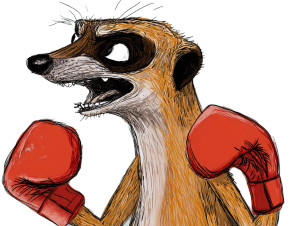 Angry Boxing Meerkat Vinyl Car Decal Sticker – Waterproof & UV-Resistant 