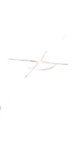 Glowing Desert Compass Vinyl Car Decal Sticker – Waterproof & UV-Resistant 