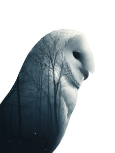 Snow Owl Moonlit Vinyl Car Decal Sticker – Waterproof & UV-Resistant 