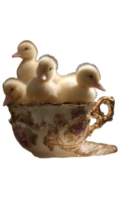 Ducklings In Teacup Vinyl Car Decal Sticker – Waterproof & UV-Resistant Ducklings In Teacup Vinyl Car Decal Sticker – Waterproof & UV-Resistant