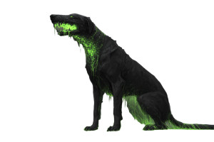 Corrosive Hound Vinyl Car Decal Sticker – Waterproof & UV-Resistant 