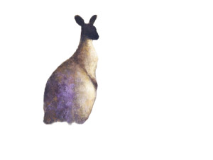 Abstract Kangaroo Vinyl Car Decal Sticker – Waterproof & UV-Resistant 