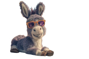 Cartoon Donkey Beach Vinyl Car Decal Sticker – Waterproof & UV-Resistant Cartoon Donkey Beach Vinyl Car Decal Sticker – Waterproof & UV-Resistant