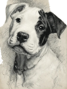 White Puppy Pitbull Vinyl Car Decal Sticker – Waterproof & UV-Resistant 