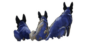 Picasso-Style German Shepherds Vinyl Car Decal Sticker – Waterproof & UV-Resistant 