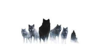 Wolf Pack Scene Vinyl Car Decal Sticker – Waterproof & UV-Resistant 