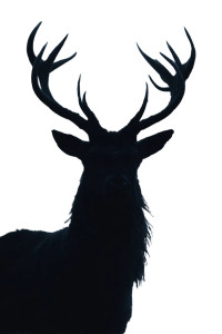 Shadow Deer Vinyl Car Decal Sticker – Waterproof & UV-Resistant 