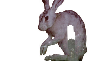 Giant Rabbit Attack Vinyl Car Decal Sticker – Waterproof & UV-Resistant Giant Rabbit Attack Vinyl Car Decal Sticker – Waterproof & UV-Resistant
