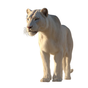 White Panther V2 Vinyl Car Decal Sticker – Waterproof & UV-Resistant 
