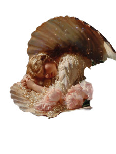 Venus In Shell Vinyl Car Decal Sticker – Waterproof & UV-Resistant 