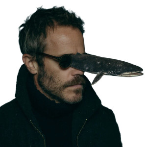 Narwhale Stephen Dorff Vinyl Car Decal Sticker – Waterproof & UV-Resistant 