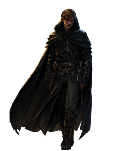 Mysterious Rogue Vinyl Car Decal Sticker – Waterproof & UV-Resistant 