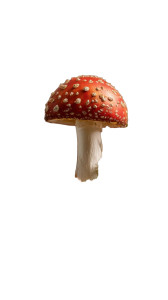 Fly Agaric Arrangement Vinyl Car Decal Sticker – Waterproof & UV-Resistant 
