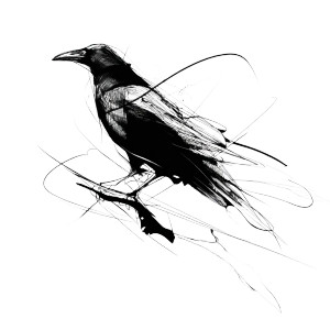 Stylized Crow Silhouette Vinyl Car Decal Sticker – Waterproof & UV-Resistant 