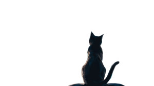 Cosmic Cat V5 Vinyl Car Decal Sticker – Waterproof & UV-Resistant 