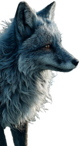 Magical Blue Fox Vinyl Car Decal Sticker – Waterproof & UV-Resistant 