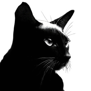 Siamese Cat Shirt Vinyl Car Decal Sticker – Waterproof & UV-Resistant 