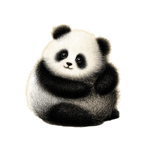 Cute Panda Drawing V2 Vinyl Car Decal Sticker – Waterproof & UV-Resistant Cute Panda Drawing V2 Vinyl Car Decal Sticker – Waterproof & UV-Resistant