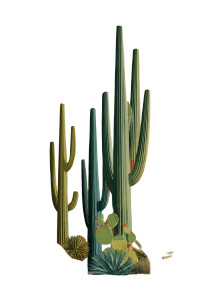 Modern Blockart Cactus Vinyl Car Decal Sticker – Waterproof & UV-Resistant 