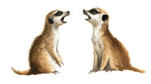 Arguing Meerkats Vinyl Car Decal Sticker – Waterproof & UV-Resistant 