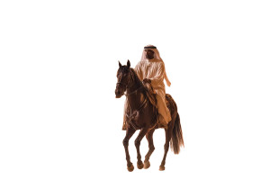 Arabian Knight Ride Vinyl Car Decal Sticker – Waterproof & UV-Resistant 