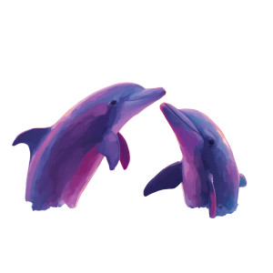 Playful Dolphin Duo V2 Vinyl Car Decal Sticker – Waterproof & UV-Resistant Playful Dolphin Duo V2 Vinyl Car Decal Sticker – Waterproof & UV-Resistant