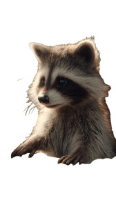 Cute Raccoon With Grapes Vinyl Car Decal Sticker – Waterproof & UV-Resistant 