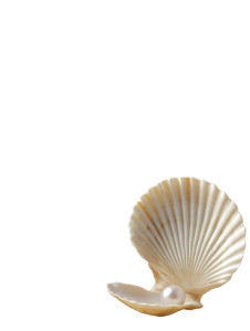 Pearl In Shell Vinyl Car Decal Sticker – Waterproof & UV-Resistant 