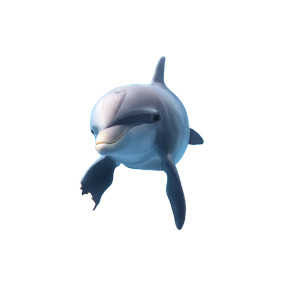 3D Dolphin Porthole Vinyl Car Decal Sticker – Waterproof & UV-Resistant 