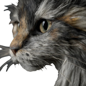 Siberian Cat V2 Vinyl Car Decal Sticker – Waterproof & UV-Resistant 