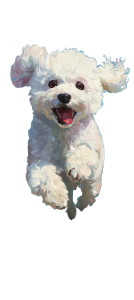 Happy Flying Poodle Vinyl Car Decal Sticker – Waterproof & UV-Resistant 