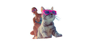 Surfer With Cat Vinyl Car Decal Sticker – Waterproof & UV-Resistant 