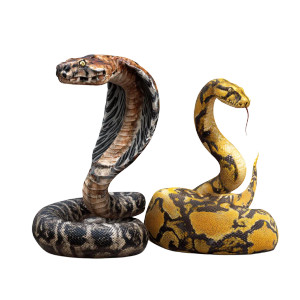 Cobra And Python Vinyl Car Decal Sticker – Waterproof & UV-Resistant 