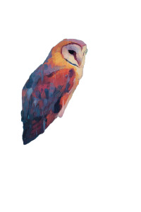 Colorful Abstract Owl Vinyl Car Decal Sticker – Waterproof & UV-Resistant 