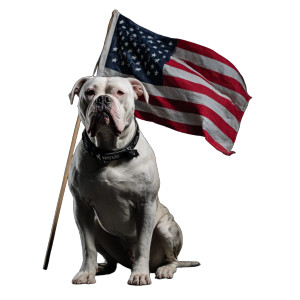 Patriotic Bulldog Vinyl Car Decal Sticker – Waterproof & UV-Resistant 