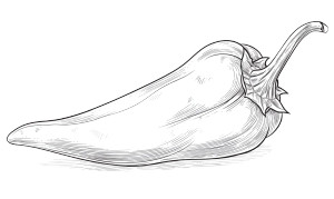 Tomato Chili Pepper Vinyl Car Decal Sticker – Waterproof & UV-Resistant 