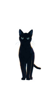 Stylish Black Cat V2 Vinyl Car Decal Sticker – Waterproof & UV-Resistant 