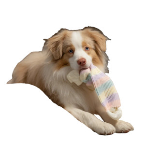 Cute Dog With Sock Vinyl Car Decal Sticker – Waterproof & UV-Resistant 