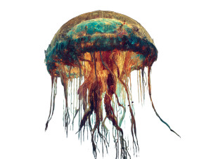 Space Jellyfish Vinyl Car Decal Sticker – Waterproof & UV-Resistant 