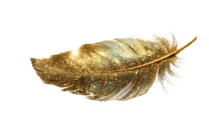 Golden Magical Feather Vinyl Car Decal Sticker – Waterproof & UV-Resistant Golden Magical Feather Vinyl Car Decal Sticker – Waterproof & UV-Resistant