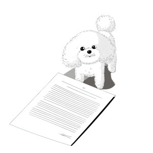 Bichon Frise Draft Vinyl Car Decal Sticker – Waterproof & UV-Resistant 
